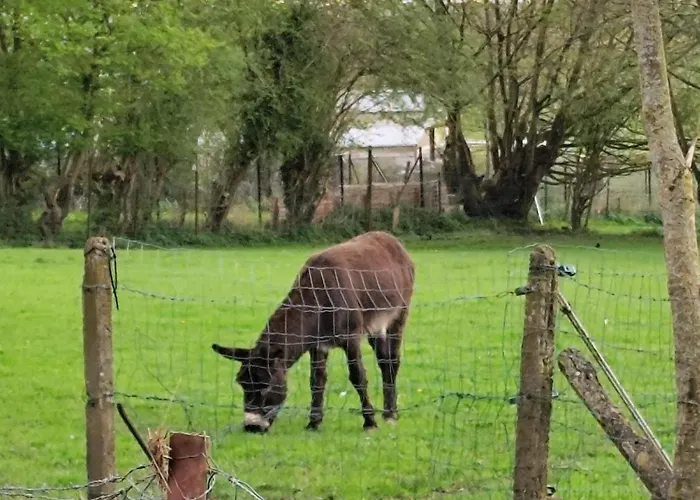 Bed & Breakfast La Grange De Bonneville Andenne